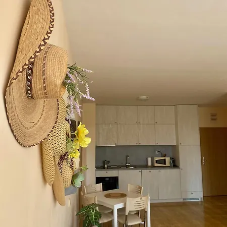 The Magic Dream, Apartment *